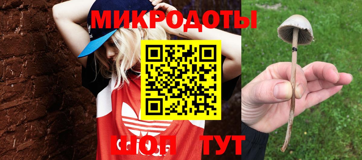 Псилоцибиновые грибы MAGIC MUSHROOMS  Вход с VPN  Галлюциногенные грибы MAGIC MUSHROOMS  Барнаул 